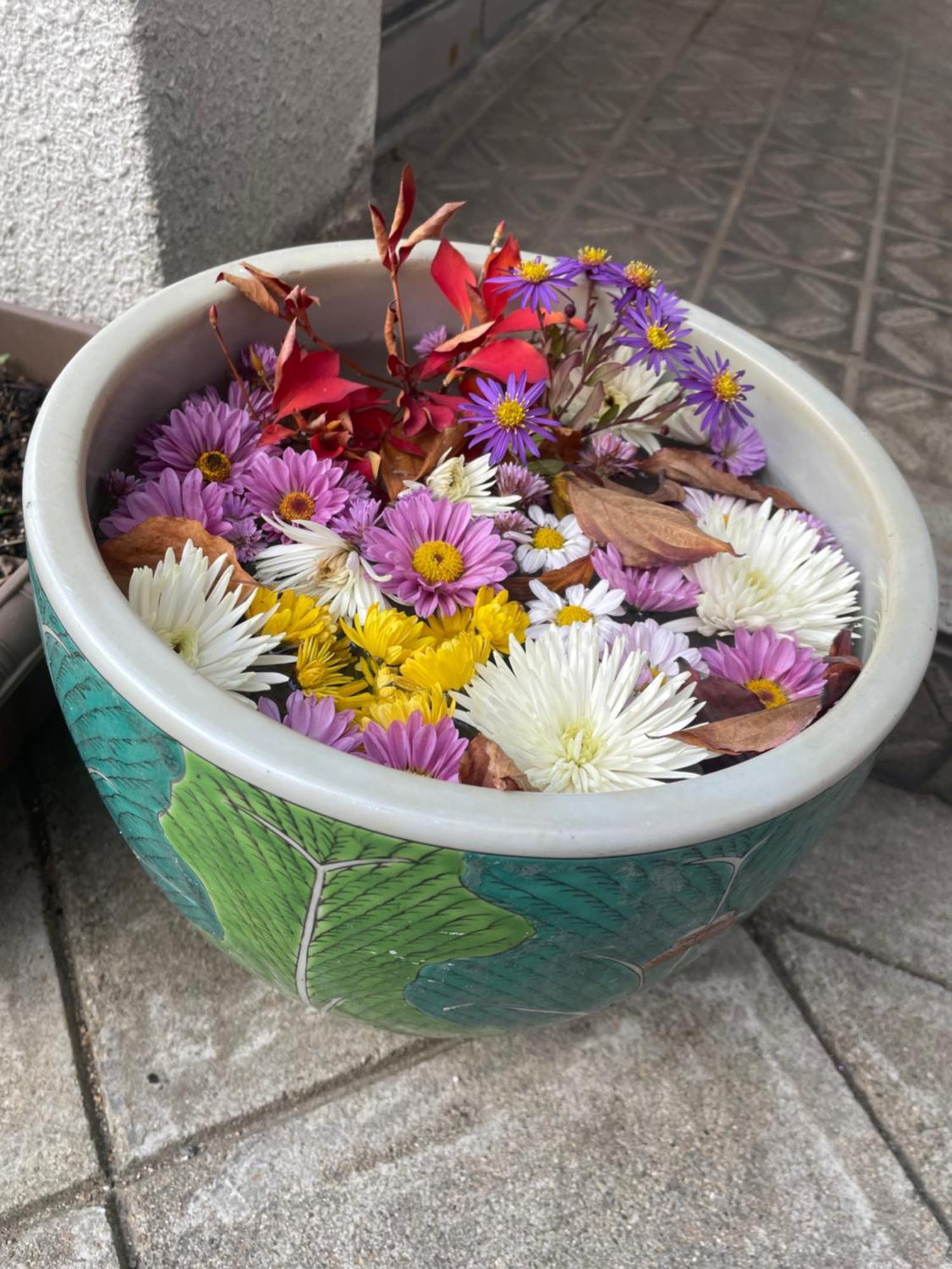 Guest House Chara Hirosaki Bagian luar foto